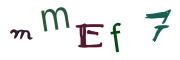 圖片的 CAPTCHA